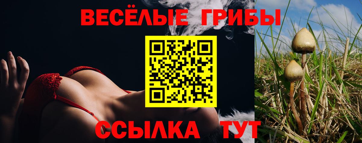Галлюциногенные грибы GOLDEN TEACHER Сорочинск